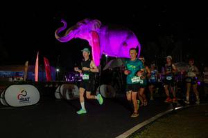 BIB: 
                            <button type="button" onclick="openModal(26542897)" class="btn btn-primary btn-sm float-right btn-popup" data-toggle="modal" data-target=".modal-high-quality">
                        <i class="fas fa-shopping-cart"></i> Add to Cart
                    </button>
                                            <button type="button" onclick="isThisMe(26542897, true)" class="btn btn-success btn-sm float-right btn-popup btn-isme hidden" data-toggle="tooltip" data-placement="bottom" title="นี่คือรูปของคุณใช่ไหม คลิกที่นี่เพื่อเอาเข้าอัลบั้ม">
                        <i class="fas fa-plus"></i> Add to album
                    </button>
                    <button type="button" onclick="isThisMe(26542897, false)" class="btn btn-warning btn-sm float-right btn-popup btn-isnotme hidden">
                        <i class="fas fa-ban"></i> Remove from album
                    </button>